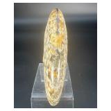 A striking natural cavel ammonite fossil entwined with clear quartz crystals, merging ancient life with crystalline energy.