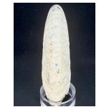 A captivating silver ammonite fossil displaying natural iridescence across its spiraled chambers.