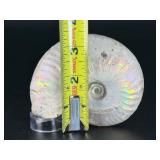 A captivating silver ammonite fossil displaying natural iridescence across its spiraled chambers.