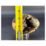 Spectacular Polished Septarian Nodule "Dragon