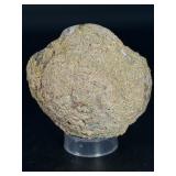 Natural Quartz Agate “Galaxy” Geode is a mesmerizing geological treasure that resembles a miniature cosmic landscape.