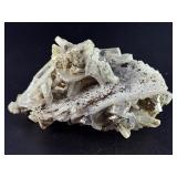 Laguna Lace Agate (Partial Polished) is a striking natural piece that beautifully balances raw texture with smooth, polished detail.