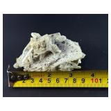 Laguna Lace Agate (Partial Polished) is a striking natural piece that beautifully balances raw texture with smooth, polished detail.