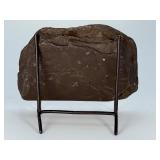 Dactylioceras Ammonite Fossil in Slate is a captivating natural specimen showcasing an ancient ammonite fossil beautifully preserved within a dark slate matrix.