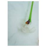 Art Glass Flower, Hand-Blown