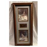 Cyndi Nelson Framed Prints of Wolves