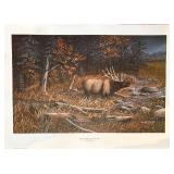 Sandra Zylla-Rolf print "Serenading the Storm"