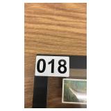 Framed 1910 W.D. & H.O. Wills Fish and Bait Cigarette Cards Set of 10