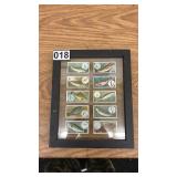 Framed 1910 W.D. & H.O. Wills Fish and Bait Cigarette Cards Set of 10