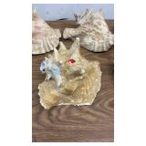Set of 5 Large Conch Sea Shells