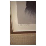 1991 South Carolina Migratory Waterfowl Stamp Print Framed Signed 1388/4000