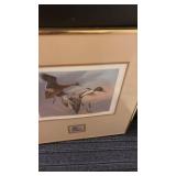 Framed Duck Print with Stamp Featuring Pintail Pair
