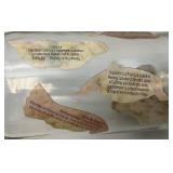 Large Vintage Oriental Themed Wine Bottle 19 1/2"