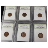 International Numismatic Bureau  6 total Wheat Pennies in cases- mixed years  Tax Exempt Constitutional Currency