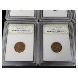 International Numismatic Bureau  6 total Wheat Pennies San Francisco Mint  in cases - mixed years  Tax Exempt Constitutional Currency