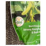 Back to the Roots Organic Cover Crop Soybean Seeds - Covers 250 square feet