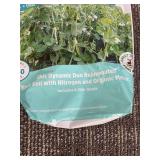 Back to Roots Field Pea Seeds - Organic Cover Crop, 8,700+ Seeds, Covers ~250 sq ft