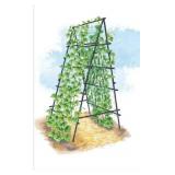 AESTHETA Box - A-Frame Plant Trellis Kit, 47.2 in