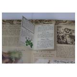 Wizardology: The Book of the Secrets of Merlin - Hardcover Blue Edition