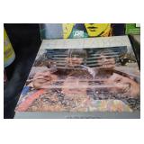 Vintage 9-LP Vinyl Lot: Temptations, Rascals, Supremes, Spirit, Pickett, Raiders, ZZ Top