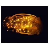 Vintage 1Gal Apothecary Bottle