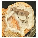 Vintage HORSE ENTHUSAST