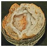 Vintage HORSE ENTHUSAST