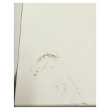 IKEA Ingatorp Extendable Dining Table