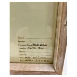 Pressed Leaf Herbarium Frames - Tree of Heaven & Sugar Maple & Black Willow
