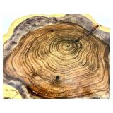 Live Edge Wood Slab Cross-Section with Prominent Growth Rings and Natural Edge
