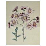 Clock with Antler Branch Stand & 2 Wooden Frames - Handcrafted in India