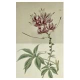 Clock with Antler Branch Stand & 2 Wooden Frames - Handcrafted in India