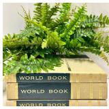Black Wooden Candlestick Holders, Fern and Books