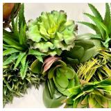 17 Assorted Succulents & Aloe Cluster - Echeveria, Haworthia & Aloe for Indoor Decor