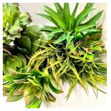 17 Assorted Succulents & Aloe Cluster - Echeveria, Haworthia & Aloe for Indoor Decor