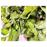 Artificial Lime Branches with Limes & Bud Clusters - Decorative Citrus Foliage