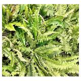 11 Faux Fern Bunches