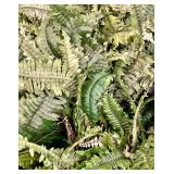 11 Faux Fern Bunches