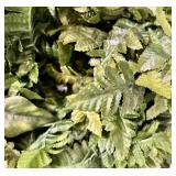 12 Artificial Fern & Mixed Greenery Foliage Bundle for Decor, DIY & Events