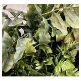 12 Artificial Fern & Mixed Greenery Foliage Bundle for Decor, DIY & Events