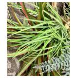 28 piece Artificial Houseplant & Foliage Assortment