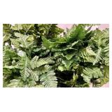 9 Fern Fronds & Decorative Indoor Houseplant Foliage - Green Cluster