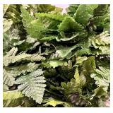 9 Fern Fronds & Decorative Indoor Houseplant Foliage - Green Cluster
