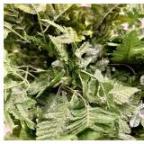 9 Fern Fronds & Decorative Indoor Houseplant Foliage - Green Cluster