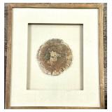 Petrified Wood Slice - Circular Fossil Display in Shadow Box Frame