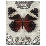 Framed Heraldic Butterfly Print & Crown Laurel Wall Art