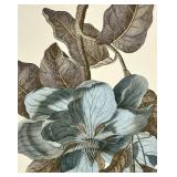 Blue Magnolia Framed Print - Botanical Wall Art in Gold Beaded Frame