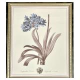 Antique Botanical Print Framed Wall Art - Blue Flower Cluster with Long Leaves