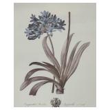 Antique Botanical Print Framed Wall Art - Blue Flower Cluster with Long Leaves