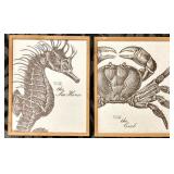 Sea Horse Specimen No. 1749 & Crab Specimen No. 1005 - Framed Marine Prints